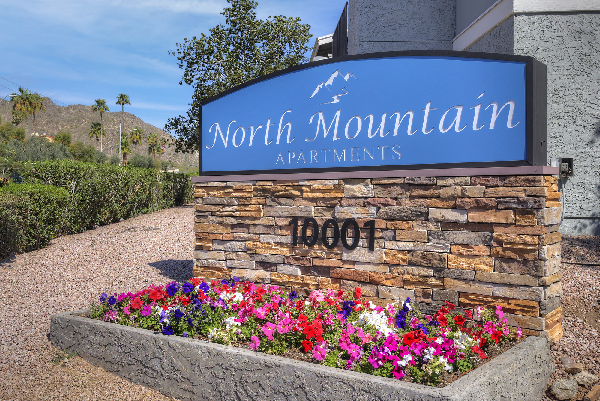 North Mountain Apartments photo 4